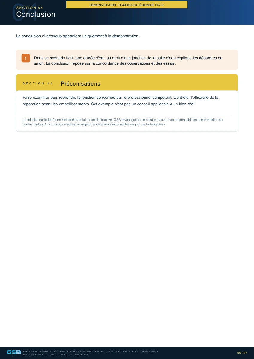 Page 5 : Conclusion et préconisations. Démonstration fictive.